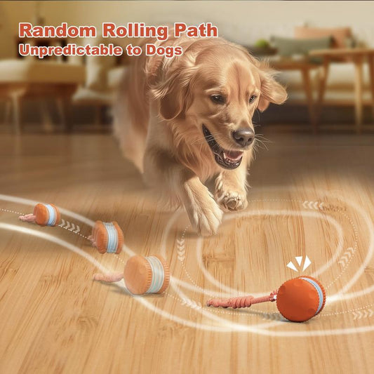 Final 3 hours 50% off🔥 🐶 Smart Pet Ball – Your Pet’s New Favorite Interactive Toy 🐱